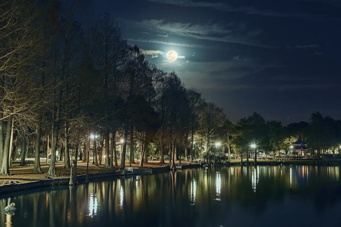 Lake Eola Park, commercial photography by Allen Velasquez